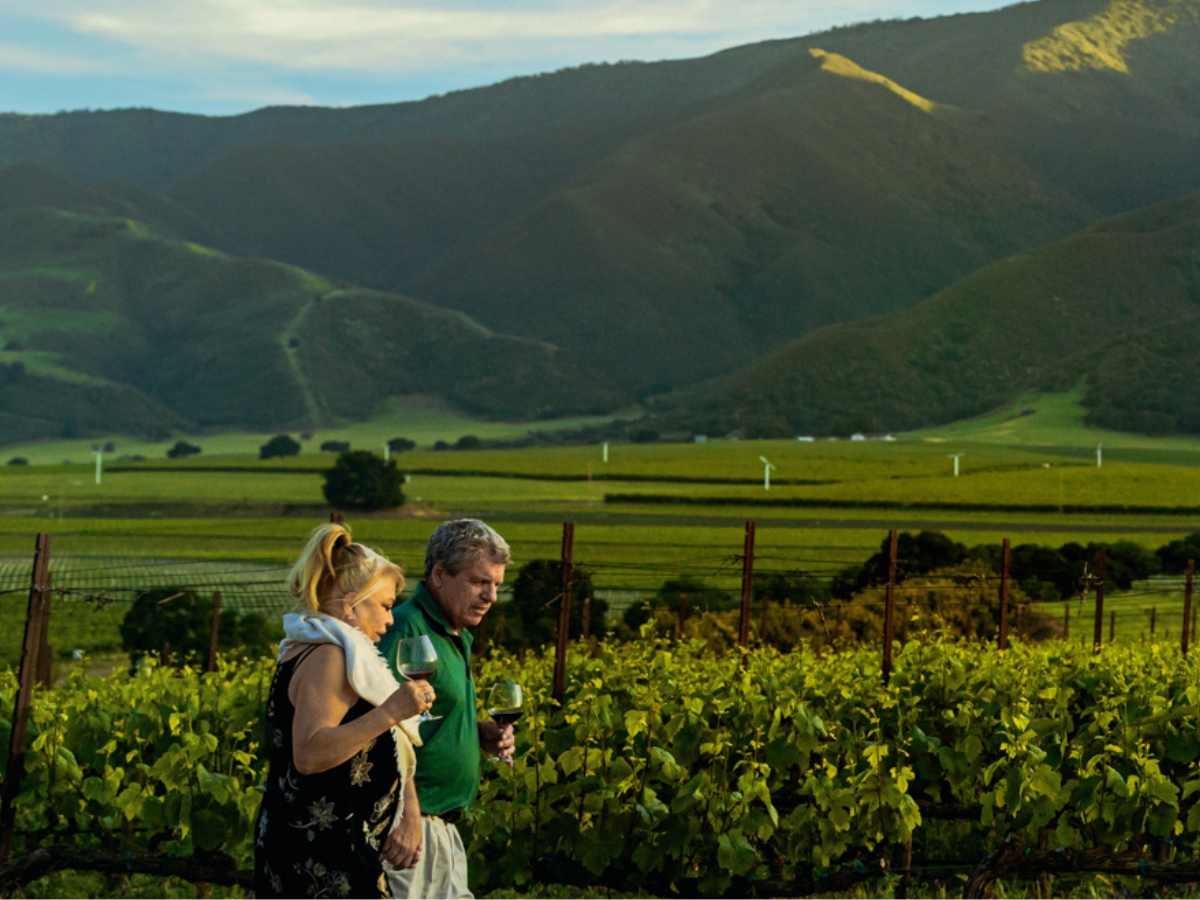Rosella&rsquo;s Vineyard in the Santa Lucia Highlands