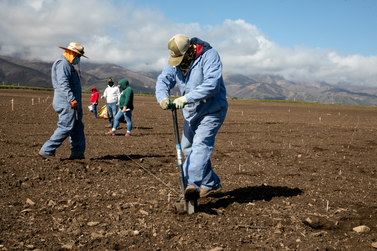 Breaking ground at WindRock Vineyard