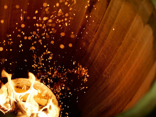 Wine and Oak: A Union From Soil to Bottle