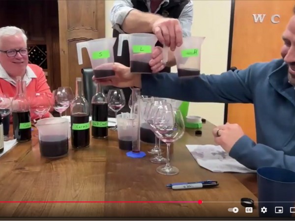 VIDEO: Vineyard Updates & Blending Trials
