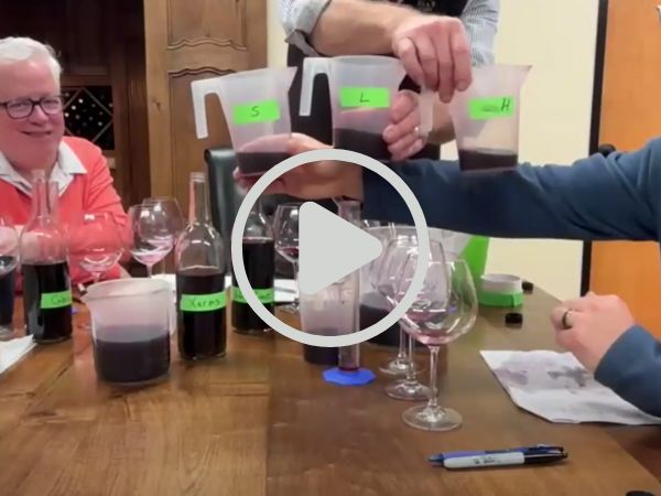 VIDEO: Vineyard Updates & Blending Trials