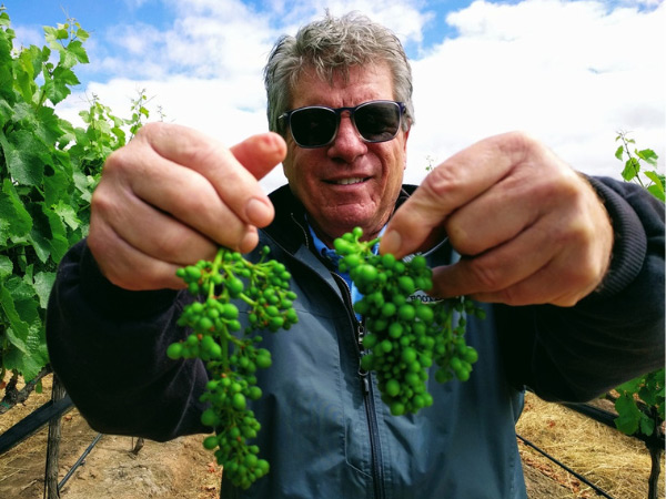 Grape Clones & Co-Fermentation