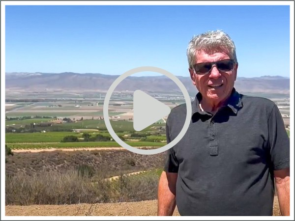 VIDEO: Fog's Influence in the Santa Lucia Highlands