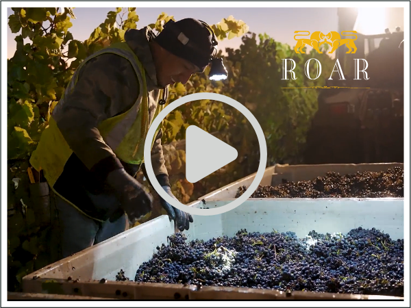 Harvest at ROAR