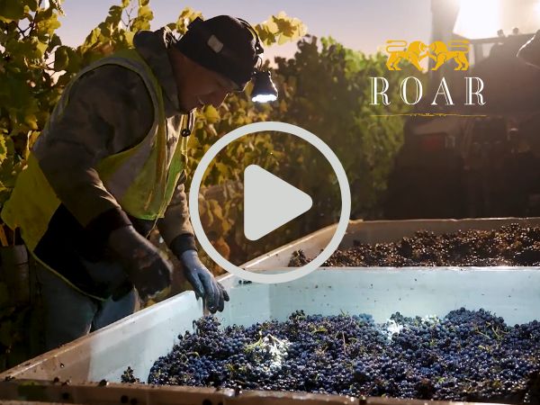 Harvest at ROAR
