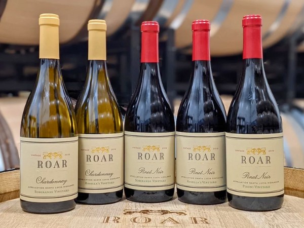 New Releases from the 2019 Vintage