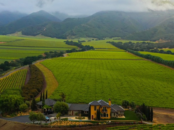Rosella’s Vineyard: Our Home Ranch, Our Heart
