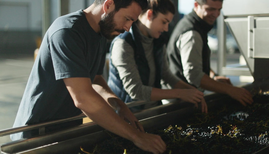 hands on Winemaking