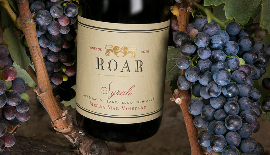 Sierra Mar Vineyard Syrah