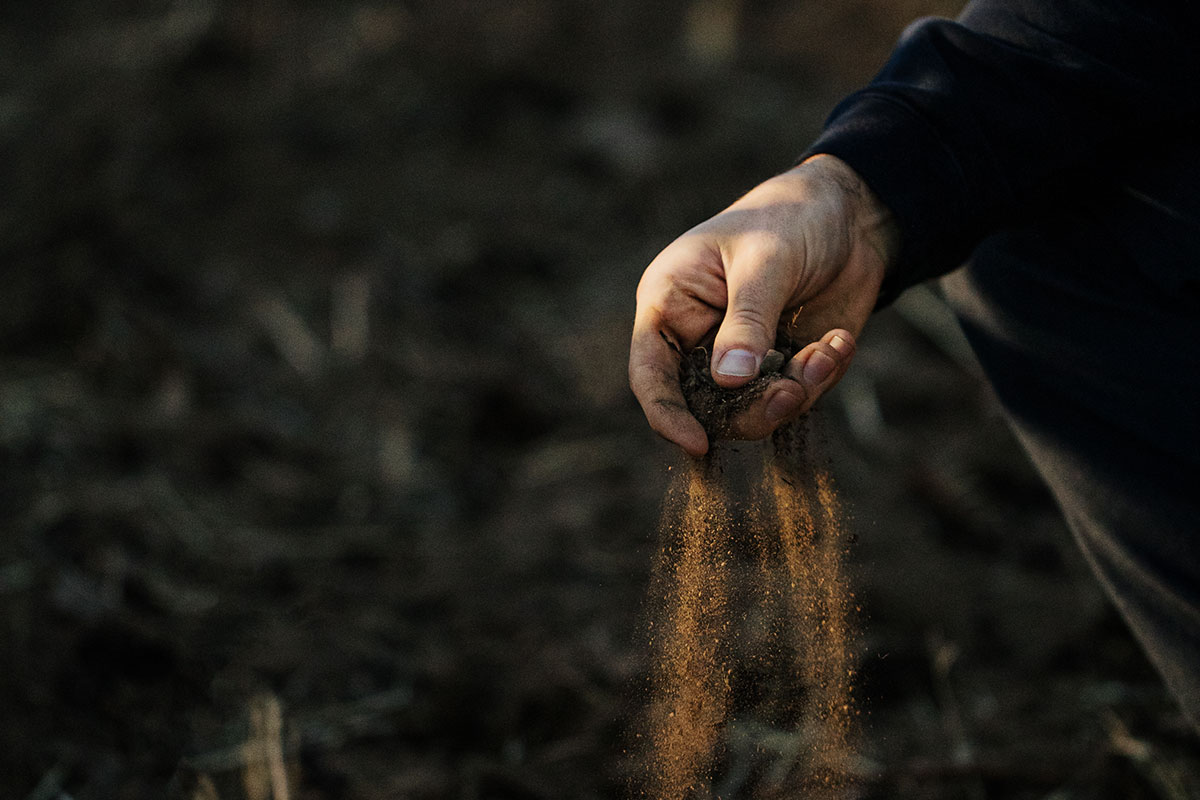 Innovative Farmers