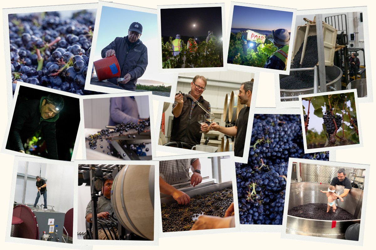 Harvest 2025 Collage