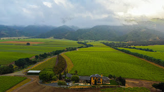 Rosella's Vineyard