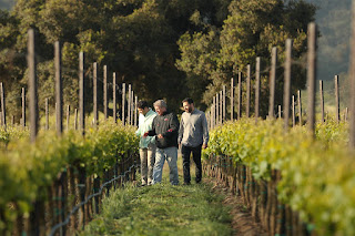 In the Vines