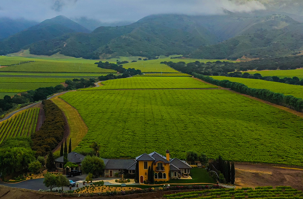 Rosella's Vineyard