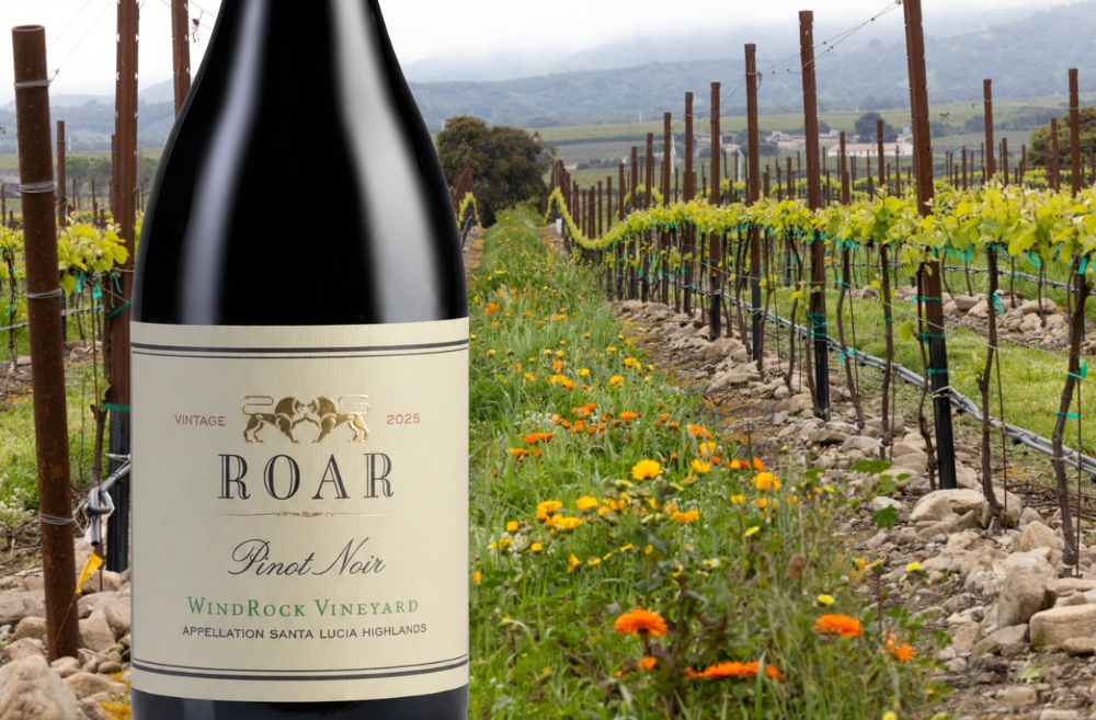 WindRock Vineyard Pinot Noir